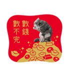 猫のベンの日常生活 5（個別スタンプ：10）