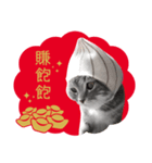 猫のベンの日常生活 5（個別スタンプ：12）
