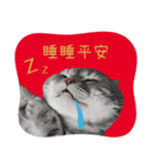 猫のベンの日常生活 5（個別スタンプ：13）