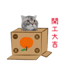 猫のベンの日常生活 5（個別スタンプ：17）