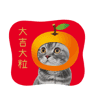 猫のベンの日常生活 5（個別スタンプ：20）