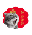猫のベンの日常生活 5（個別スタンプ：21）