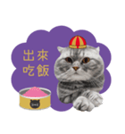 猫のベンの日常生活 5（個別スタンプ：22）