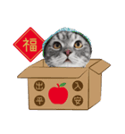 猫のベンの日常生活 5（個別スタンプ：23）