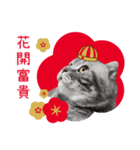 猫のベンの日常生活 5（個別スタンプ：24）