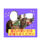 つぶやく動物たち（個別スタンプ：2）