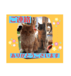 つぶやく動物たち（個別スタンプ：3）