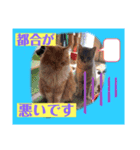 つぶやく動物たち（個別スタンプ：4）