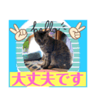 つぶやく動物たち（個別スタンプ：5）