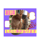 つぶやく動物たち（個別スタンプ：6）