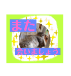 つぶやく動物たち（個別スタンプ：9）