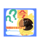 つぶやく動物たち（個別スタンプ：13）