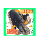 つぶやく動物たち（個別スタンプ：19）