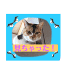 つぶやく動物たち（個別スタンプ：21）