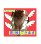 つぶやく動物たち（個別スタンプ：24）
