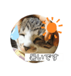 サクちゃんスタンぷ（個別スタンプ：2）