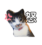 サクちゃんスタンぷ（個別スタンプ：4）