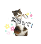 サクちゃんスタンぷ（個別スタンプ：5）