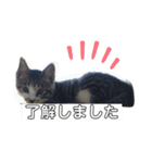 サクちゃんスタンぷ（個別スタンプ：7）