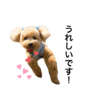 うめちょこたんwithファミリー（個別スタンプ：4）