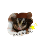 小動物シンプルスタンプ（個別スタンプ：9）