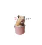 小動物シンプルスタンプ（個別スタンプ：15）