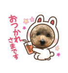 ぷらむちゃん（個別スタンプ：3）