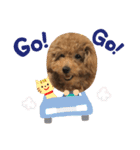 ぷらむちゃん（個別スタンプ：4）