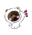 ぷらむちゃん（個別スタンプ：5）