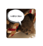 ぷらむちゃん（個別スタンプ：11）