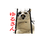 猫たちのお気楽な毎日（個別スタンプ：26）