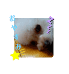 もふココ2（個別スタンプ：2）