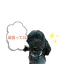 我が家のハッピー！！（個別スタンプ：1）