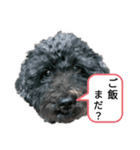 我が家のハッピー！！（個別スタンプ：2）