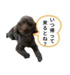 我が家のハッピー！！（個別スタンプ：3）