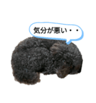 我が家のハッピー！！（個別スタンプ：5）