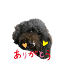 我が家のハッピー！！（個別スタンプ：6）
