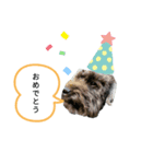 我が家のハッピー！！（個別スタンプ：7）