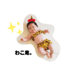 わこちゃんのすたんぷ2（個別スタンプ：1）