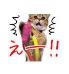 ぺこぽこステッカー（個別スタンプ：18）