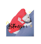 ハナの日常会話part2（個別スタンプ：16）