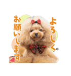 日常会話B.R.N.M（個別スタンプ：1）