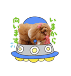日常会話B.R.N.M（個別スタンプ：4）