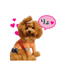 日常会話B.R.N.M（個別スタンプ：5）