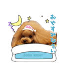 日常会話B.R.N.M（個別スタンプ：7）