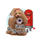 日常会話B.R.N.M（個別スタンプ：8）