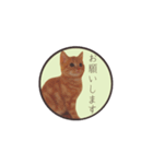 こむぎ【日常編②】（個別スタンプ：3）