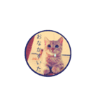こむぎ【日常編②】（個別スタンプ：9）