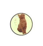 こむぎ【日常編②】（個別スタンプ：15）