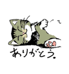 ちょびそら（個別スタンプ：1）